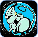 Ratte