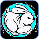Hase