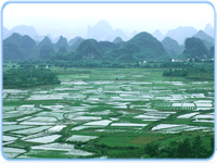 Reisfelder an der Stra&szlig;e Guilin - Yangshuo 