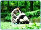  China, Sichuan,  Wolong, Pandaforschungszentrum