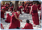China, Tibet, Lhasa, Sera Kloster, tibetische M&ouml;nche, 