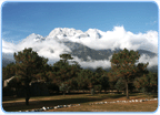 Jadedrachen Schneeberg