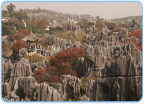 Kunming Steinwald 