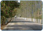 Stra&szlig;e nach Mingshi in der Proviny Guangxi