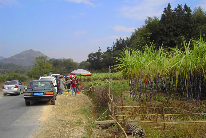 Landwirtschaftlicher Tourismus in China