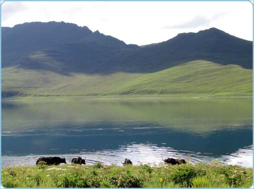 China, Tibet, Yamdrok See,