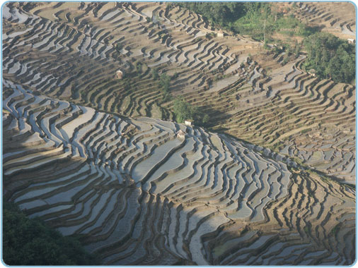 Chiuna, Yunnan, Yuanyang, Reisterrassen