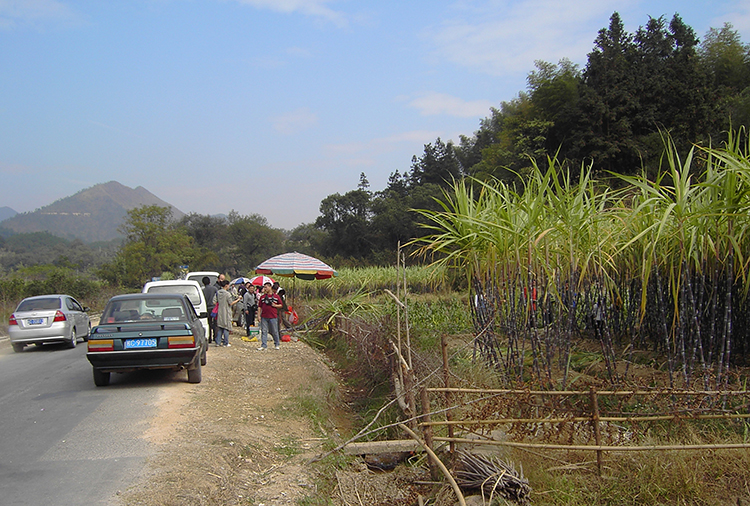 Mit dem eigenen Auto durch China